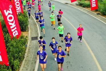 NAVARINO CHALLENGE