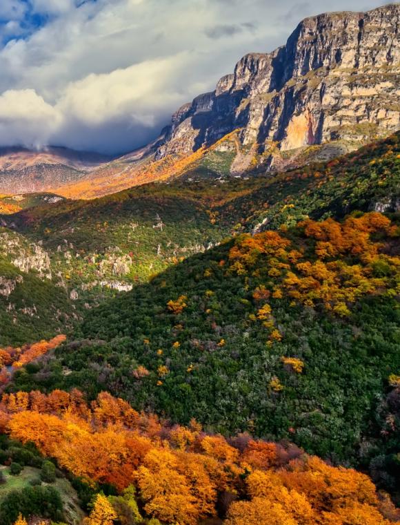 Ένα από τα σημαντικότερα οικοσυστήματα της χώρας