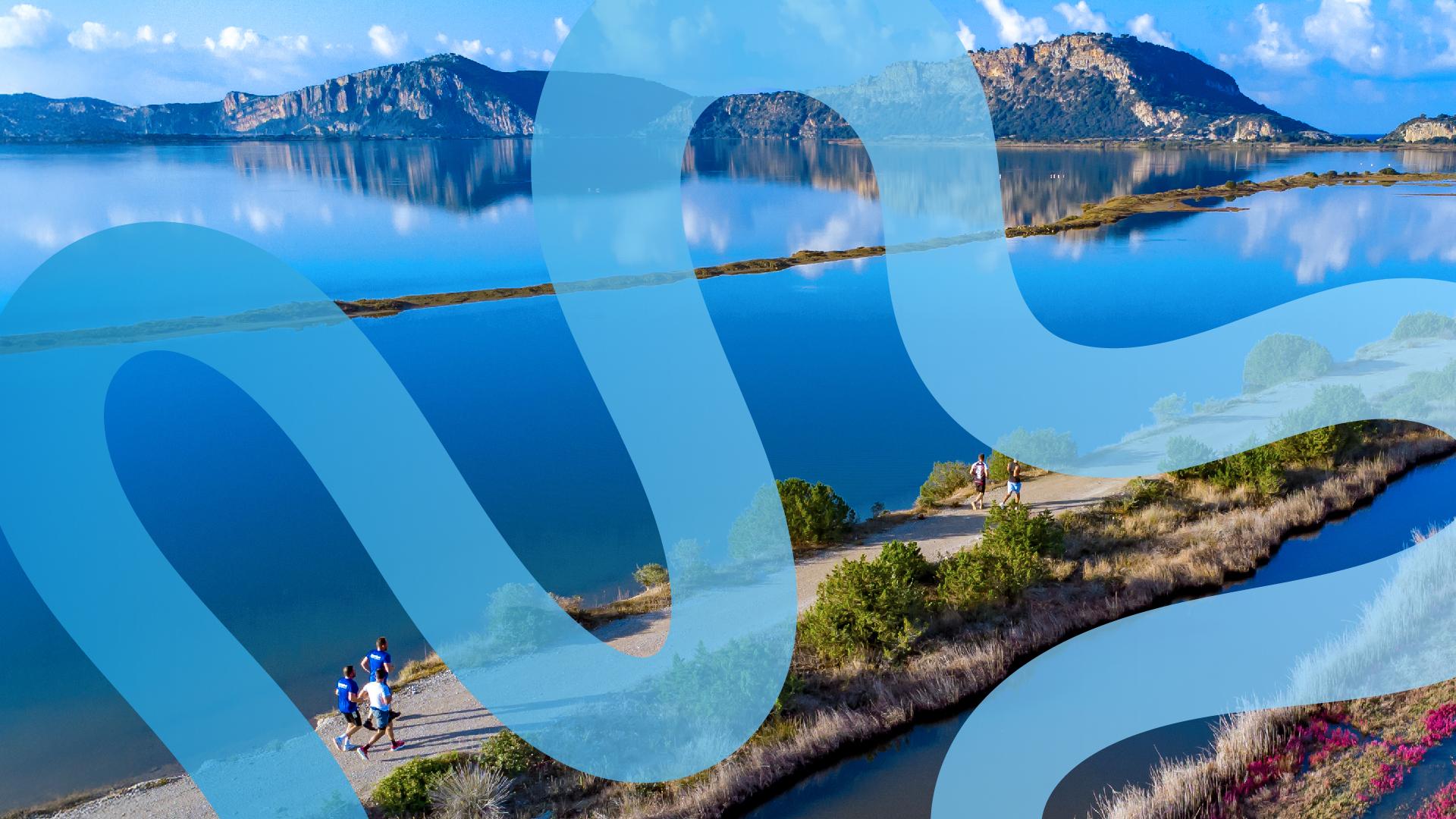 NAVARINO CHALLENGE